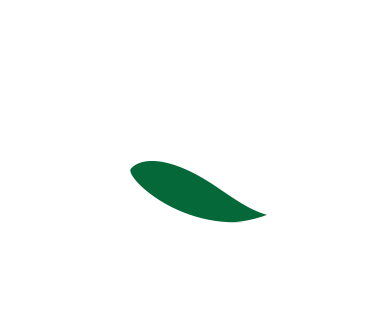 logo2